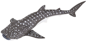 דמות מיניאטורה מגומי דחוס למשחקי דמיון - כריש לוויתן צעיר