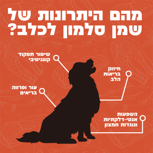שמן סלמון לכלב יתרונות