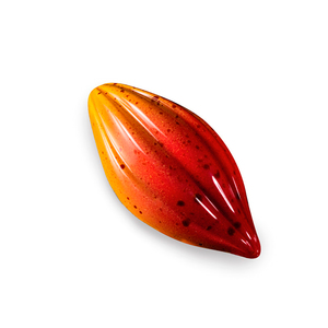 תבנית פוליקרבונט COCOA 1018
