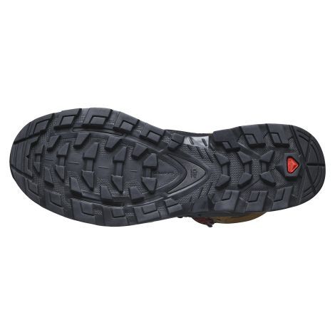 נעלי טיולים לגבר SALOMON Quest 4 GTX צבע חום 