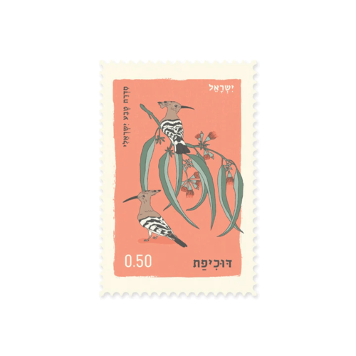 גלויה : דוכיפת Upupa