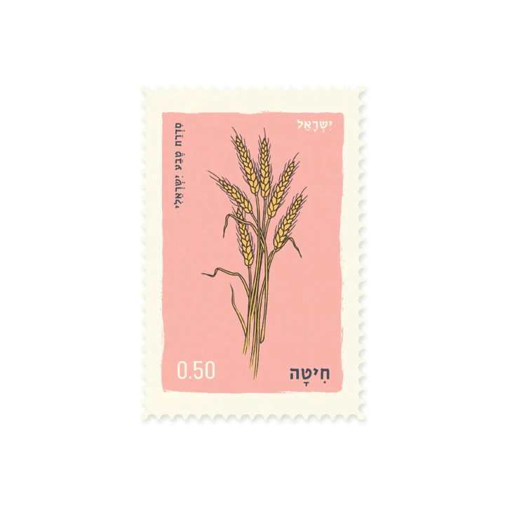 גלויה : חיטה Wheat