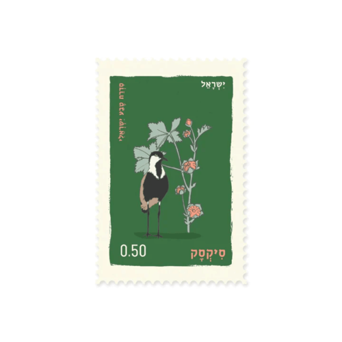 גלויה : סיקסק Lapwing