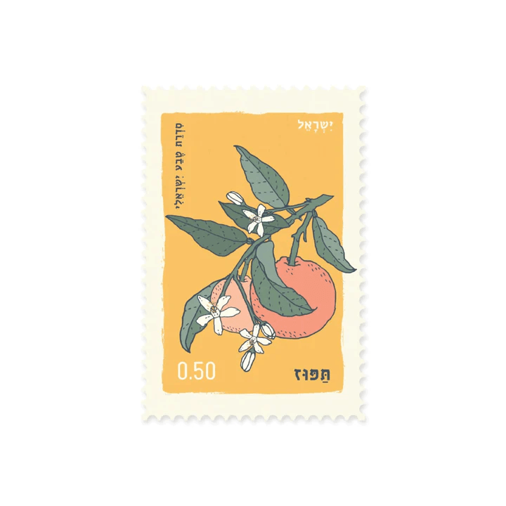 גלויה: תפוז Orange Fruit