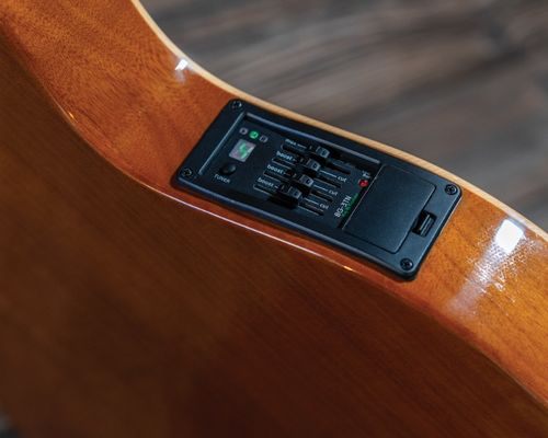 זווית נוספת Washburn FESTIVAL EACT42S