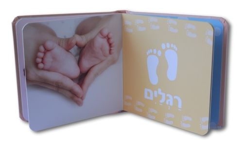 הספר הראשון שלי - הגוף שלי