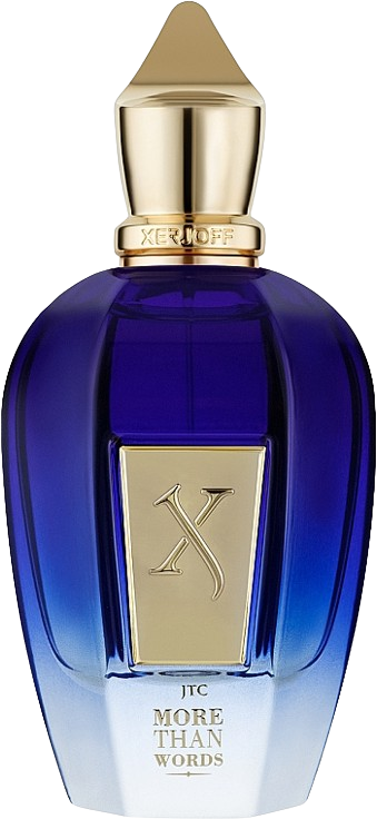 Xerjoff More Than Words 100ML EDP סרג