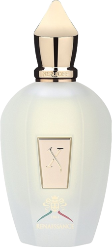 Xerjoff Renaissance 100ML EDP סרג'וף רנסנס יוניסקס