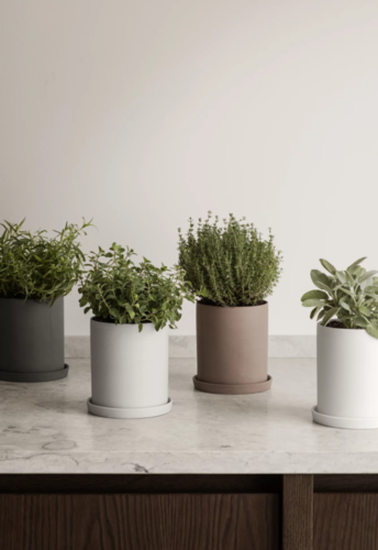 עציץ תבלינים אפור כהה NONA Herb pot