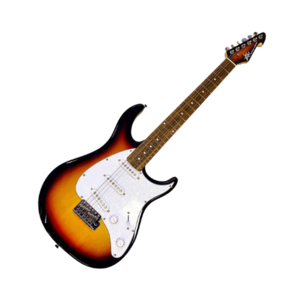 גיטרה חשמלית Peavey Raptor Plus SSS