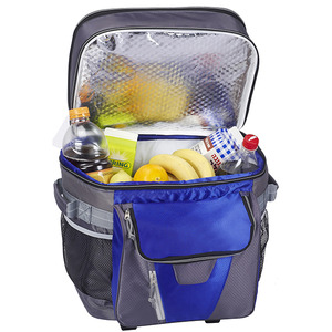 צידנית טרולי