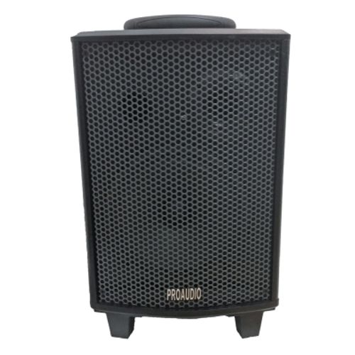 בידורית רמקול מוגבר מקצועי STAR VOICE 48