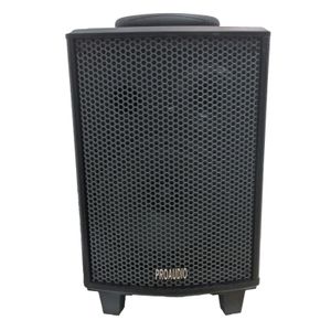 בידורית רמקול מוגבר מקצועי STAR VOICE 48