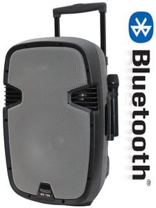 בידורית מקצועית 12"  STAR VOICE 120