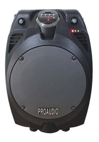 בידורית ניידת PROAUIO  דגם : STAR VOICE 24