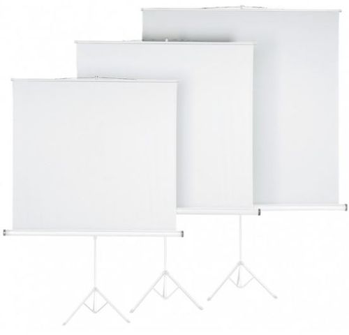 מסך נייד למקרן מסך גלילה על חצובה 100