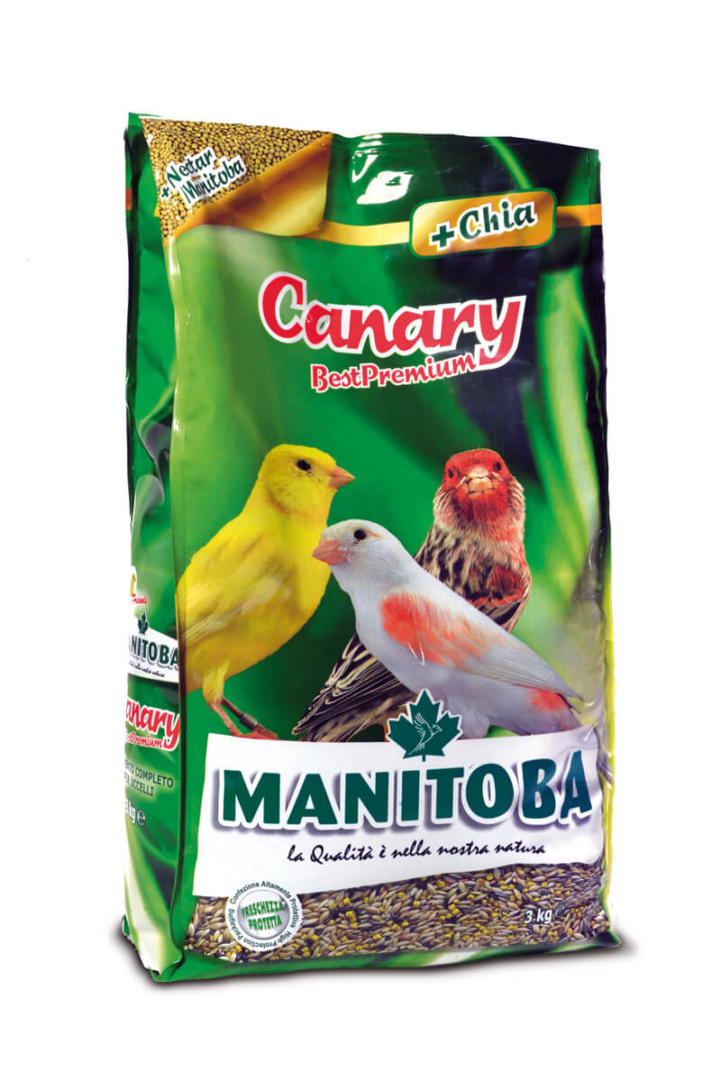 מניטובה כנר 1 ק"ג Manitoba Canary Best Premium