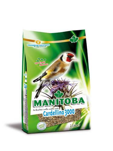 מניטובה זרעי בר 1 ק״ג Manitoba Cardellino 3000