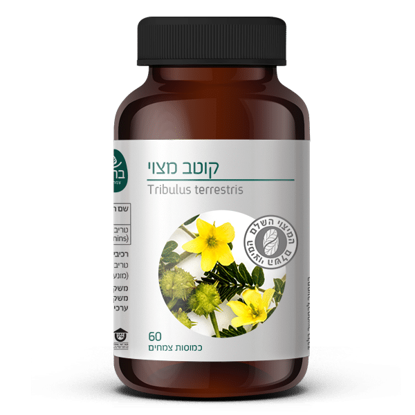 קוטב מצוי עלים 60 כמוסות צמחים ברא | Tribulus terrestris leaves