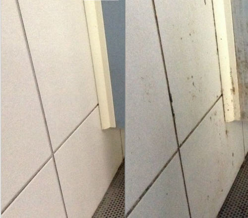 סאג ספריי להסרת עובש וטחב 950 מ