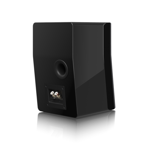 זוג SVS Ultra Evolution Nano Black Oak