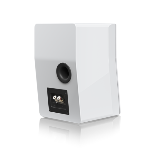 זוג SVS Ultra Evolution Nano Black Oak