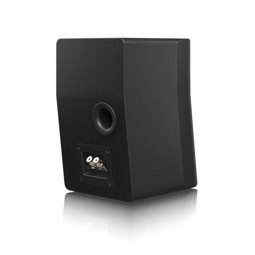 זוג SVS Ultra Evolution Nano Black Oak