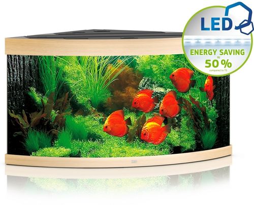 אקווריום ג'אוול טריגון 350 לד אלון