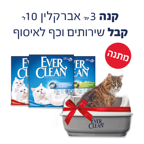 מבצע 3 חול לחתול אברקלין 10 ליטר - קבלו קיט שירותים וכף לאיסוף מתנה
