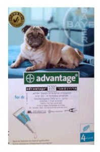 אמפולות אדוונטג' לכלב – עד 10 ק"ג Advantage Flea באייר