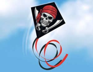 עפיפון מעוצב עשוי פוליאסטר עמיד עם זנב כפול 3 מ