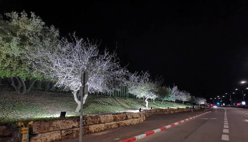 תמונה להמחשת יישום בפרויקט שדרות הראל, מבשרת ציון
