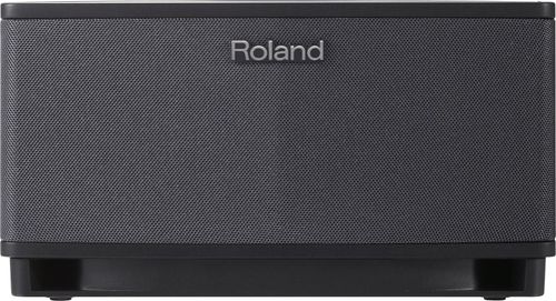 זוית נוספת Roland Cube Lite Monitor Amplifier 