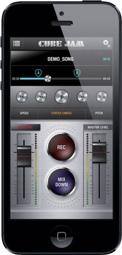 זוית נוספת Roland Cube Lite Monitor Amplifier 