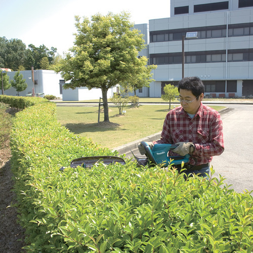 גוזם גדר חיה חשמלי 650 מ