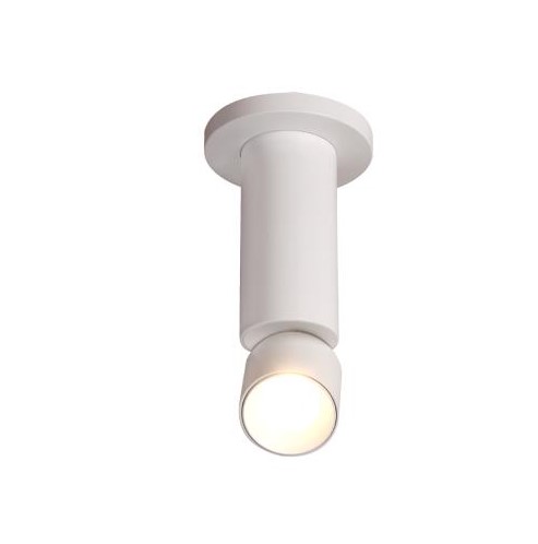 צלינדר מתכוונן לבן LED