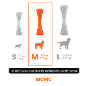 ביוניק BIONIC מקל אורבן M לכלב 23 ס"מ -