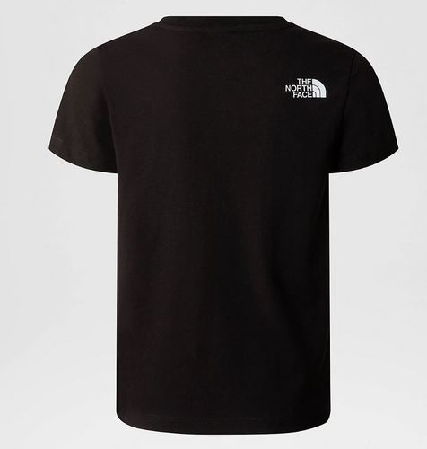 חולצת דה נורת' פייס The North Face Graphic Tee | ילדים