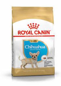 רויאל קנין לצ'יוואווה בוגר 1.5 ק''ג Royal Canin Chihuahua 