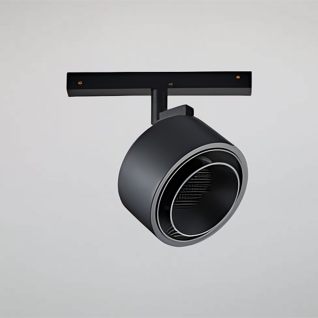 S100 PLUS