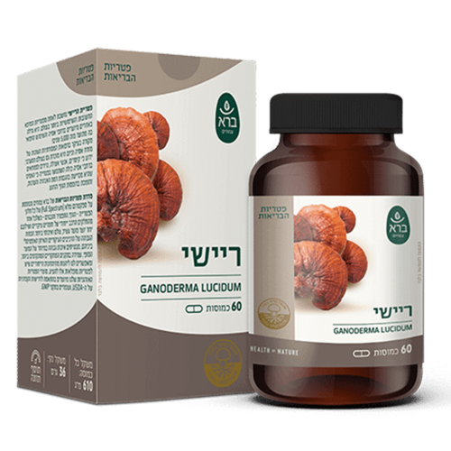 כמוסות ריישי ברא צמחים 60 כמוסות - Bara Ganoderma lucidum