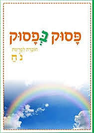 פסוק בפסוק חוברת לפרשת נח כ. בונוס