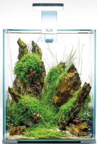 Shrimp Set Smart אקווריום לבן תאורת יום ולילה 10 ליטר