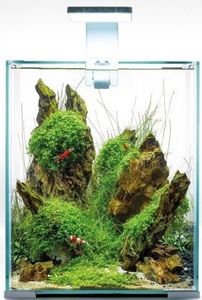 Shrimp Set Smart אקווריום לבן תאורת יום ולילה 10 ליטר