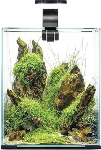 Shrimp Set Smart אקווריום שחור תאורת יום ולילה 10 ליטר