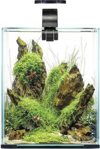Shrimp Set Smart אקווריום שחור תאורת יום ולילה 10 ליטר