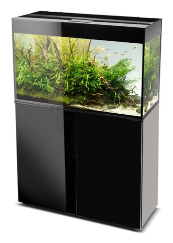אקוריום גלוסי 80 שחור Glossy 80