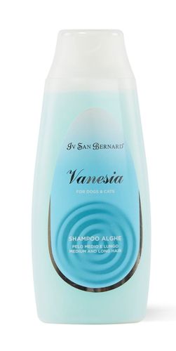 סן ברנרד שמפו אצות 300ML