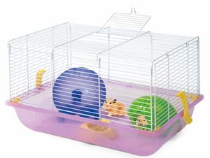 קריסטי 2  ציבעוני - IMAC