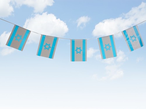 שרשרת דגלי ישראל מרובע 5 מטר 30X40 ס